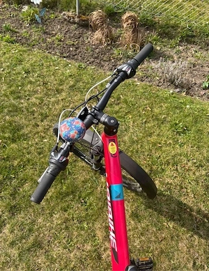 Kinder   Jugend Mountainbike Bild 2