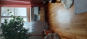 Heizung Schwedenofen u.Infrarot Spiegelplatten Bild 2