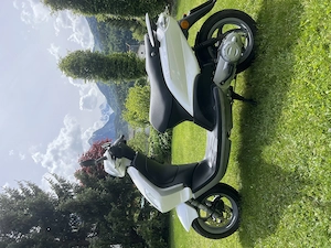 Piaggio Fly 50 2T Roller Moped weiß, fahrbereit 