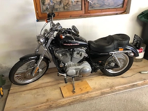 Harley-Davidson Sportster XL883C Chopper_Cruiser