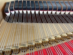 Kawai Flügel Bild 3