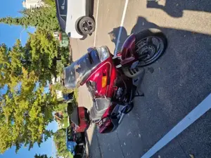 Honda Paneuropen Bild 8