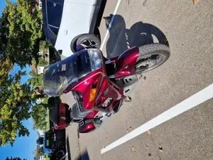 Honda Paneuropen Bild 10