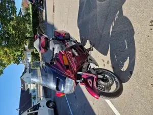Honda Paneuropen Bild 4