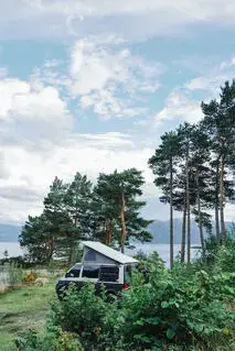 VW Bus Bild 15