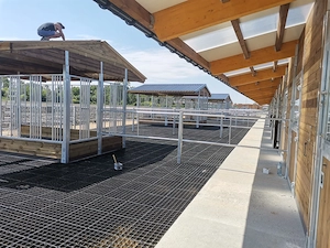 Pferdefuttertröge - Heuraufen ideal für den Pferdehof | Pferde - Heuraufe kaufen Bild 4