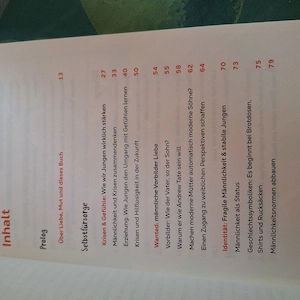 Buch für Eltern von Jungs Bild 5