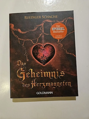 Buch Ruediger Schache