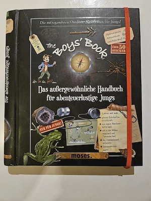 Buch The Boys' book