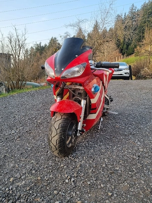 Pocketbike  Bild 5