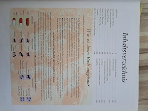 Sachbuch über Pferde gratis Bild 3