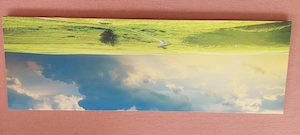 Wandbild auf Leinwand   150 x 50 cm   wie neu