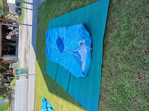 Poll für Kinder und Erwachsene  Bild 4