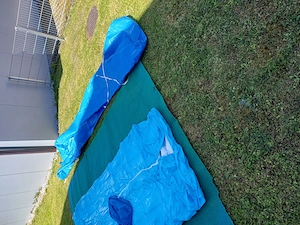 Poll für Kinder und Erwachsene  Bild 3