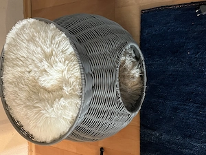 Katzenkorb für deine Katzen  Bild 2
