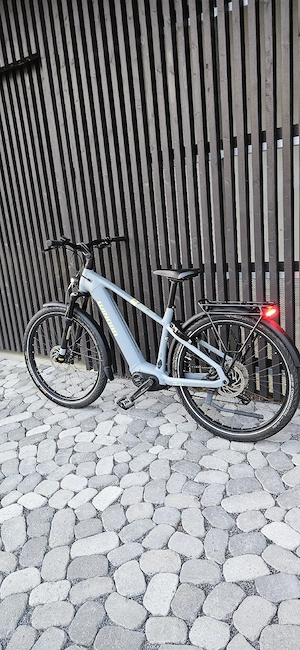 Damen E-Bike-Winora Yucatan X10   Frisch Serviert Bild 2
