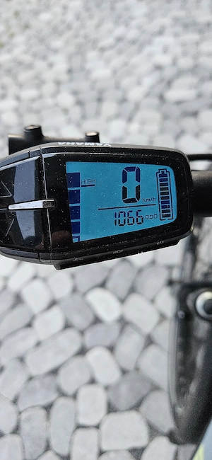Damen E-Bike-Winora Yucatan X10   Frisch Serviert Bild 4