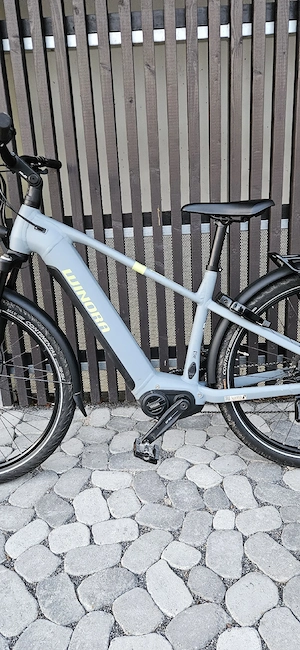 Damen E-Bike-Winora Yucatan X10   Frisch Serviert Bild 5