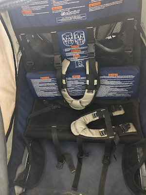 Chariot 2-Sitzer Fahrradanhänger   Geschwisterwagen   Premium Qualität Bild 5