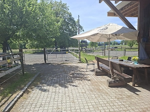 Paddock-Box in Selbstversorgerstall in Lauterach  Bild 2