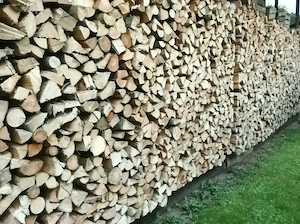 Brennholz trocken