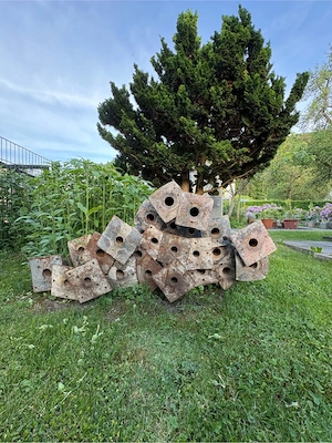 Deckenstützer (Stypper) Bild 4