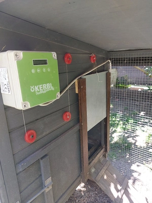 Hühnerstall mit automatischer Hühnerklappe Bild 2