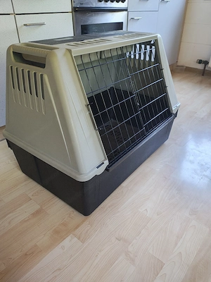 Hunde Transportbox Bild 3