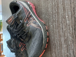 Asic GT 2000 Laufschuhe Bild 3