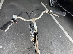 Elektro Damen fahrrad Bild 4