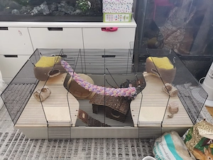 Sehr Groß Käfig für Nagetiere 