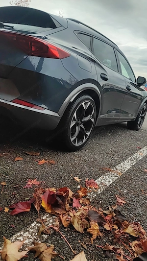 cupra formentor 1.5 Tsi Act Bild 11