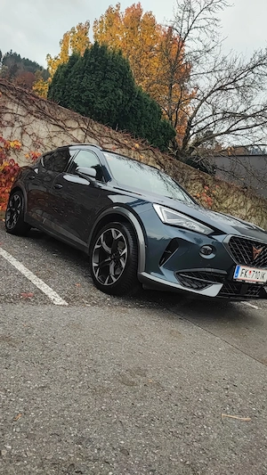 cupra formentor 1.5 Tsi Act Bild 2