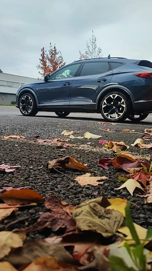 cupra formentor 1.5 Tsi Act Bild 4