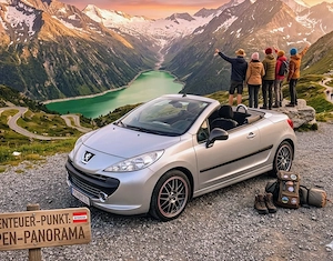 Peugeot 207cc 1,6 Turbo 150Ps Cabrio Roadster  Pickerl 10 26+4