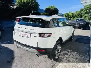 Range Rover Evoque ALLRAD* 2,2l* Dynamic* TOP * Bild 3
