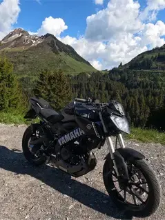Yamaha MT-125 (2014)  Bild 5