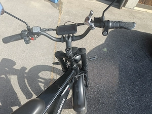 E Bike ( Elektrofahrrad ) auch selbstfahrend Bild 2