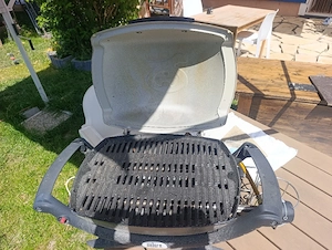 Weber Gasgrill Q1000 Bild 3