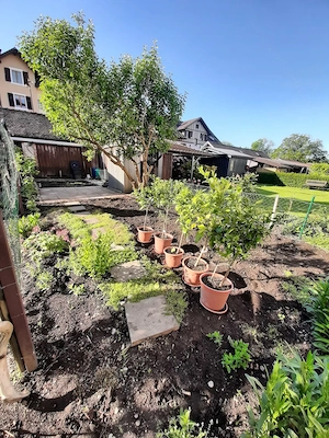 Provisionsfrei  Gemütliche 4-Zimmer-Dachgeschosswohnung mit Garten