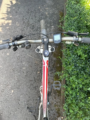 Specialized Fahrrad Bild 2