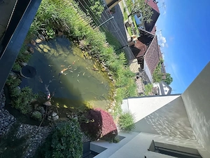 Kompletter Teich zu verkaufen, sofort startklar! Bild 2