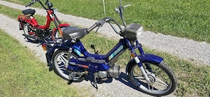 3 Stück Mopeds zu verkaufen Bild 3