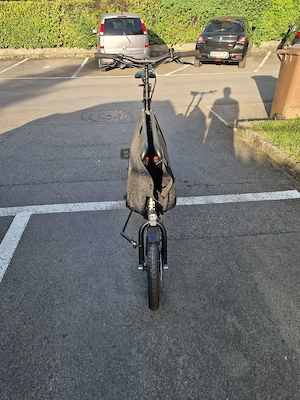 E-Lastenfahrrad Bild 4