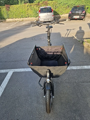 E-Lastenfahrrad Bild 5