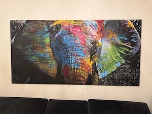 Bidl Elefant bunt Bild 2