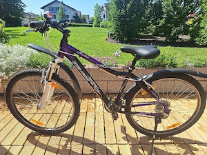 MtB Damenfahrrad 26" 