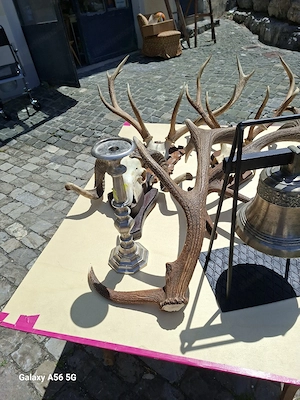 Abwurfstangen  Geweie