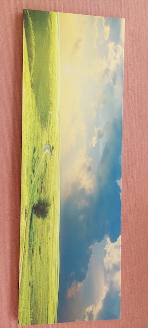 Wandbild auf Leinwand   150 x 50 cm   wie neu