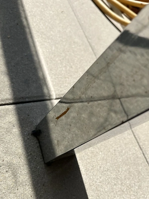 Glastisch mit Metallgestell zu verschenken! Bild 3